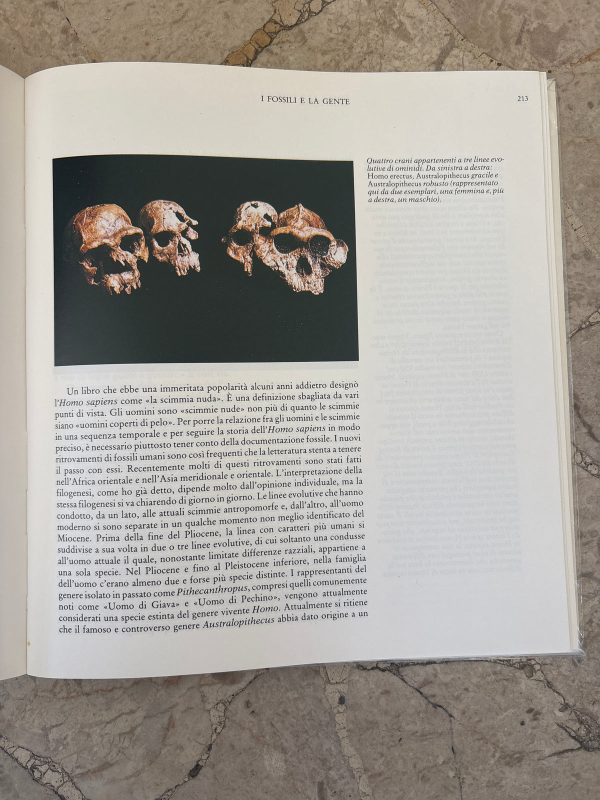 I fossili e la storia della vita