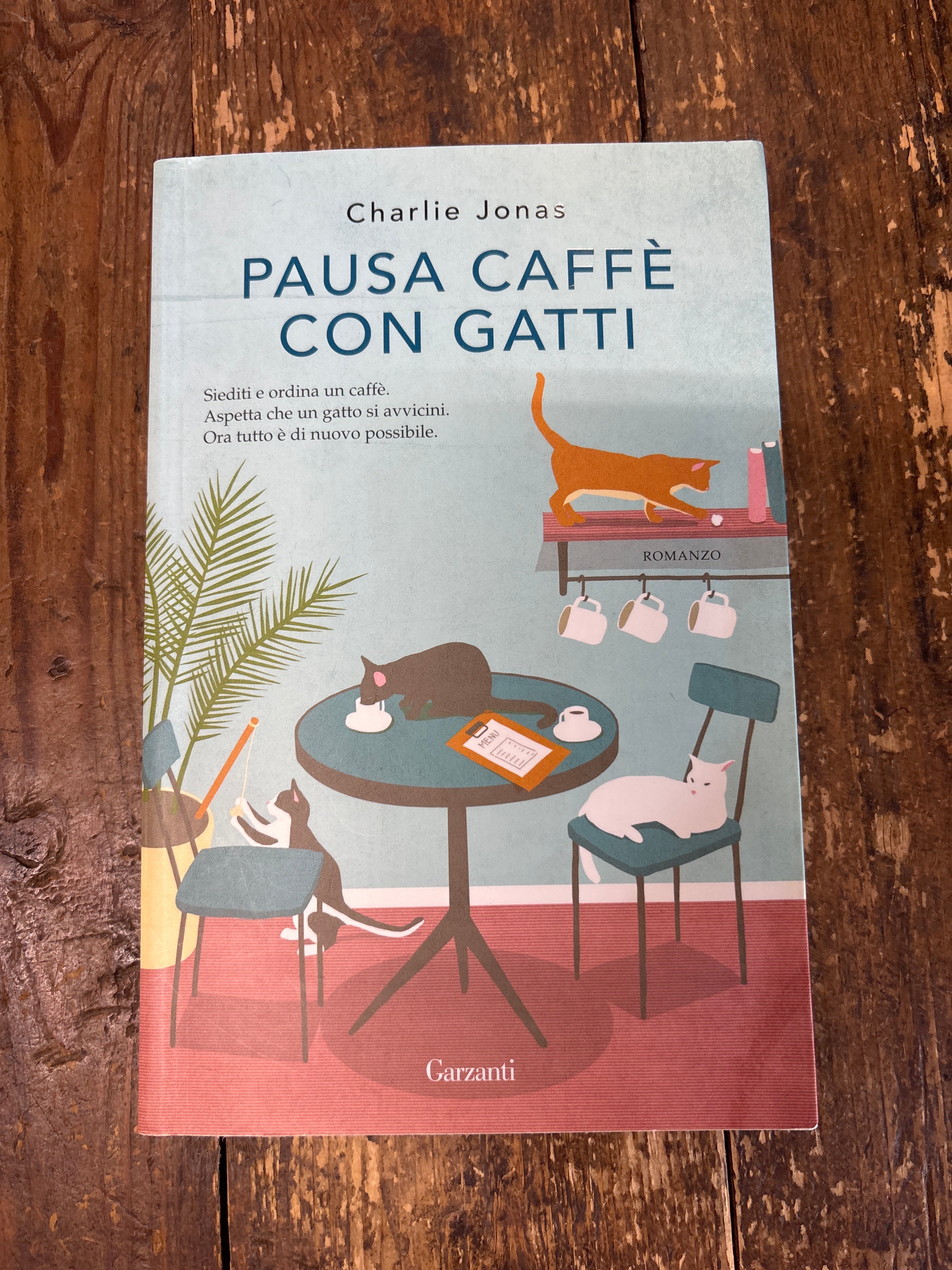 Pausa caffè con gatti