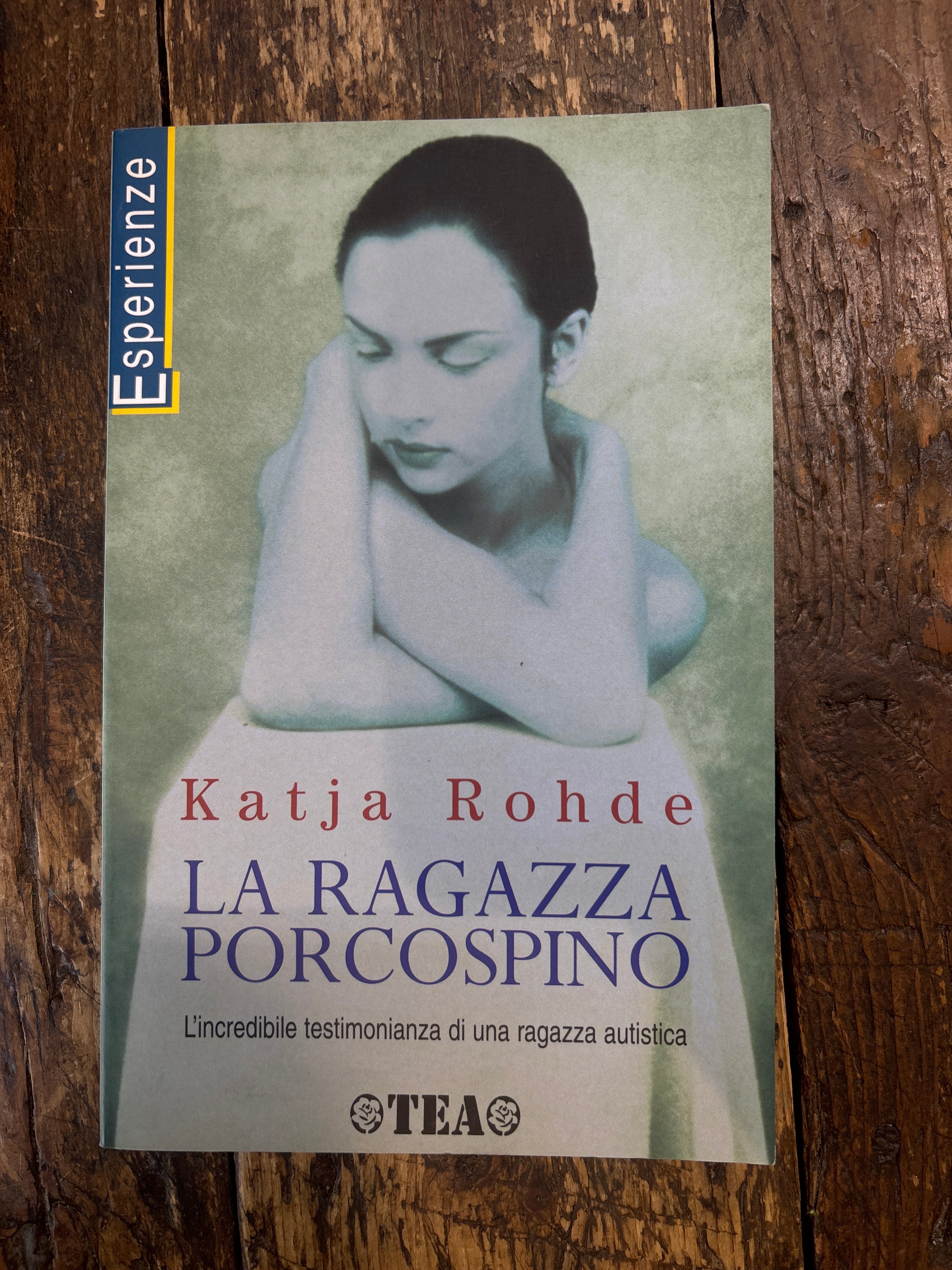 Katia Rohde