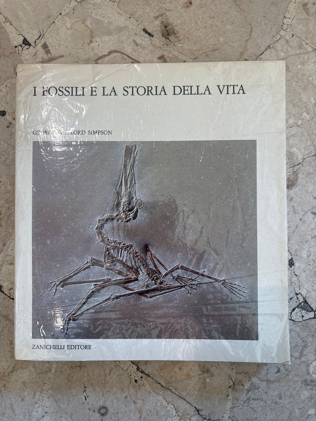 I fossili e la storia della vita