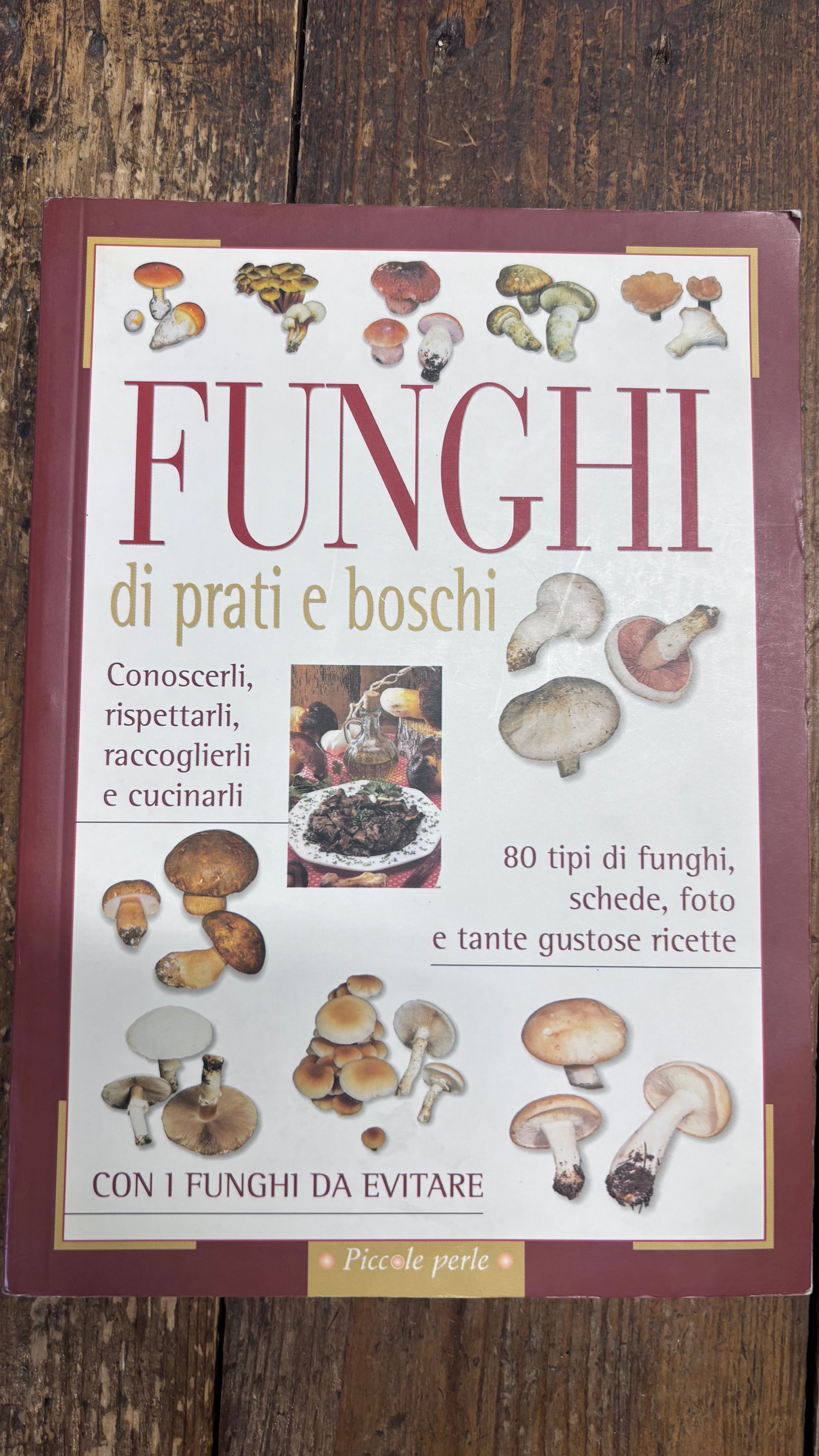 Funghi di prati e boschi