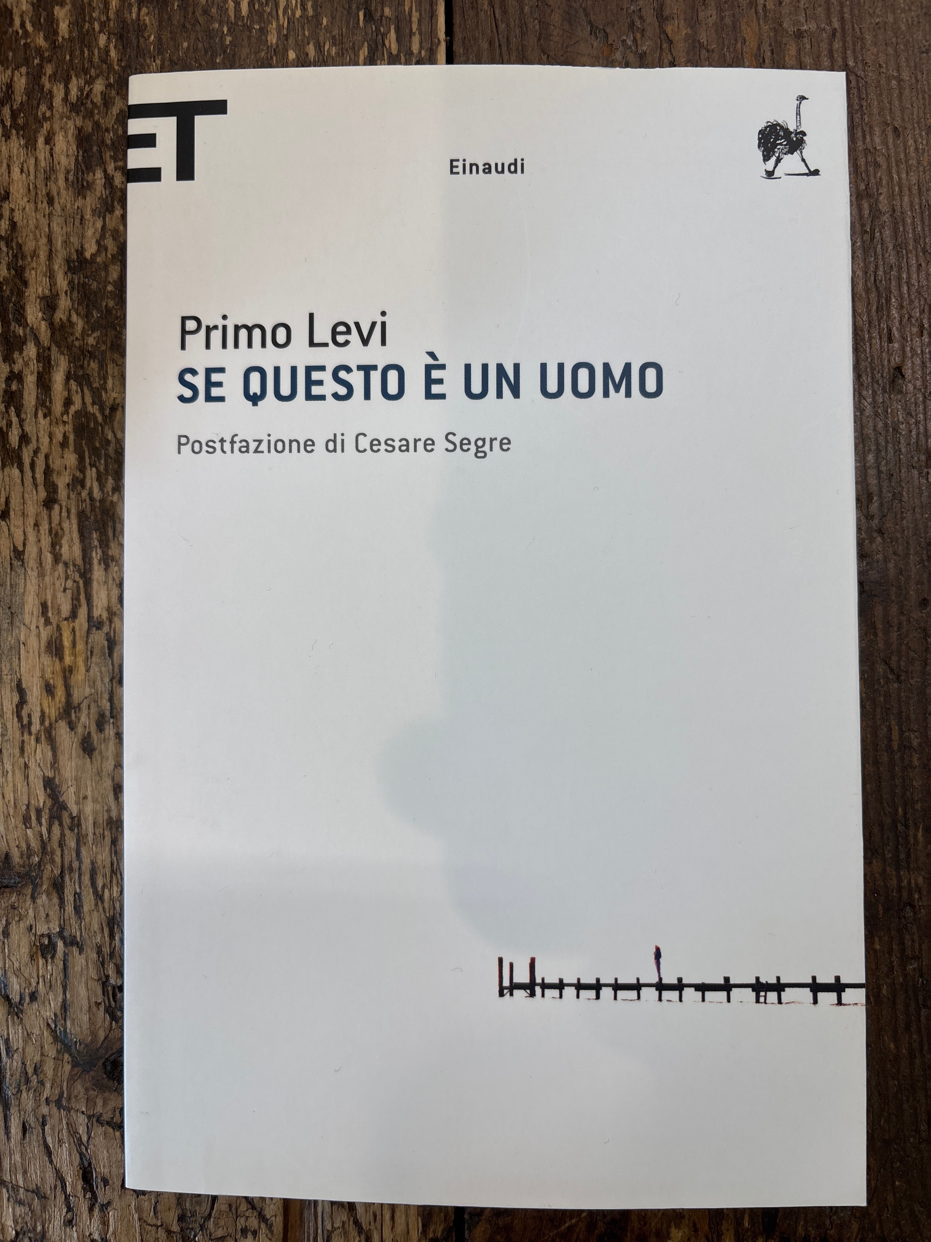 Se questo è un uomo