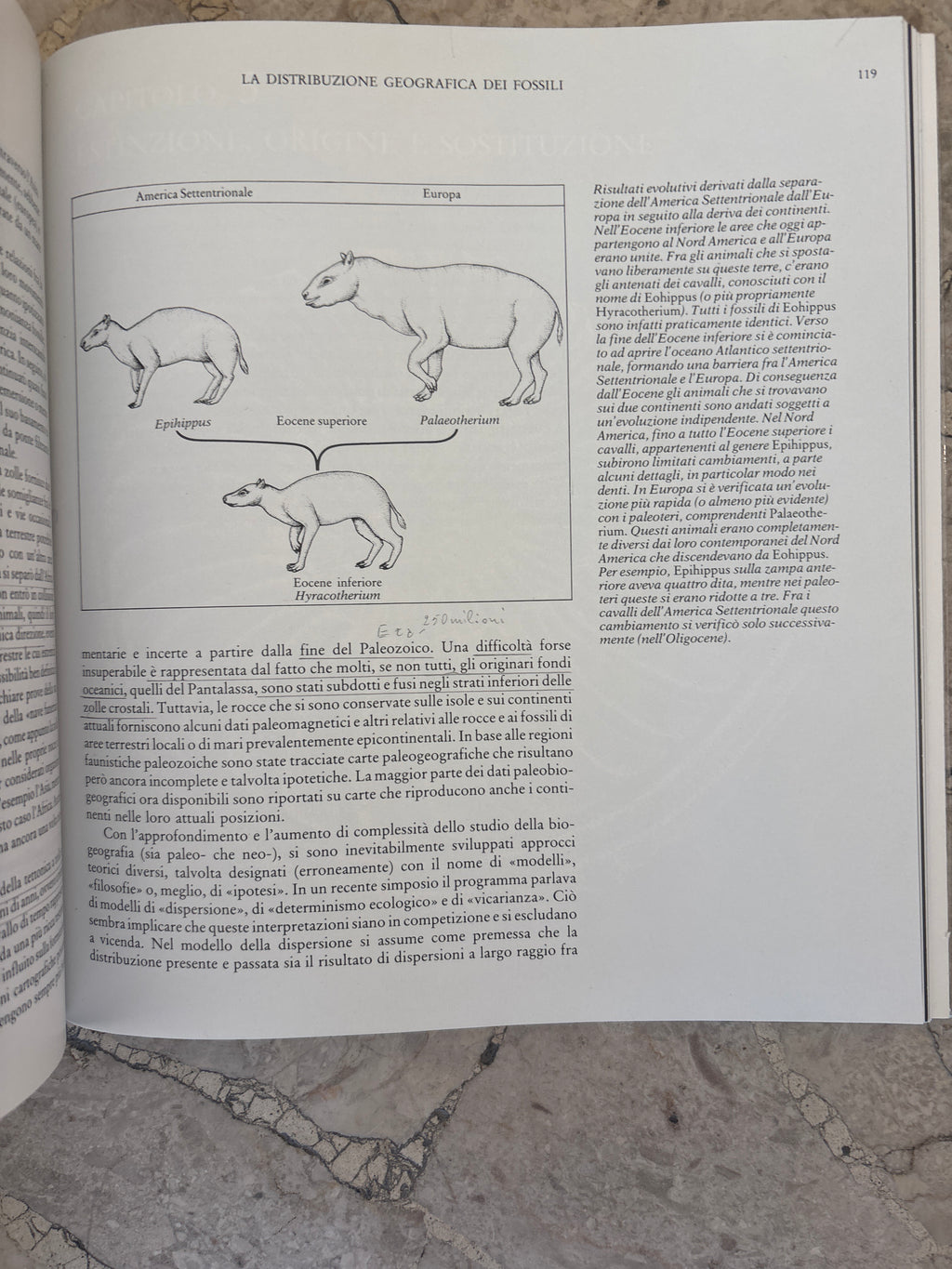 I fossili e la storia della vita