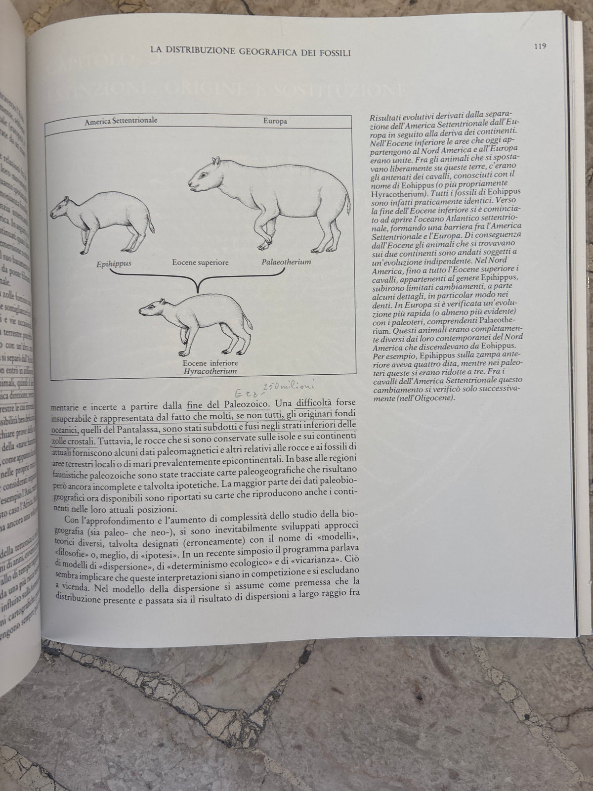 I fossili e la storia della vita