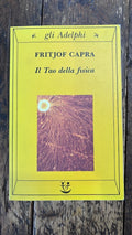 Il Tao della fisica