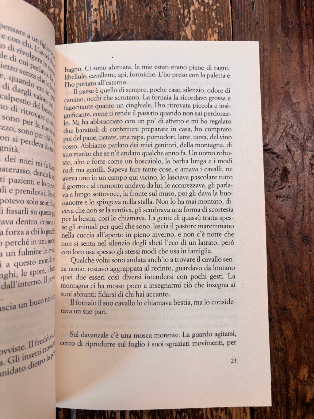La donna degli alberi