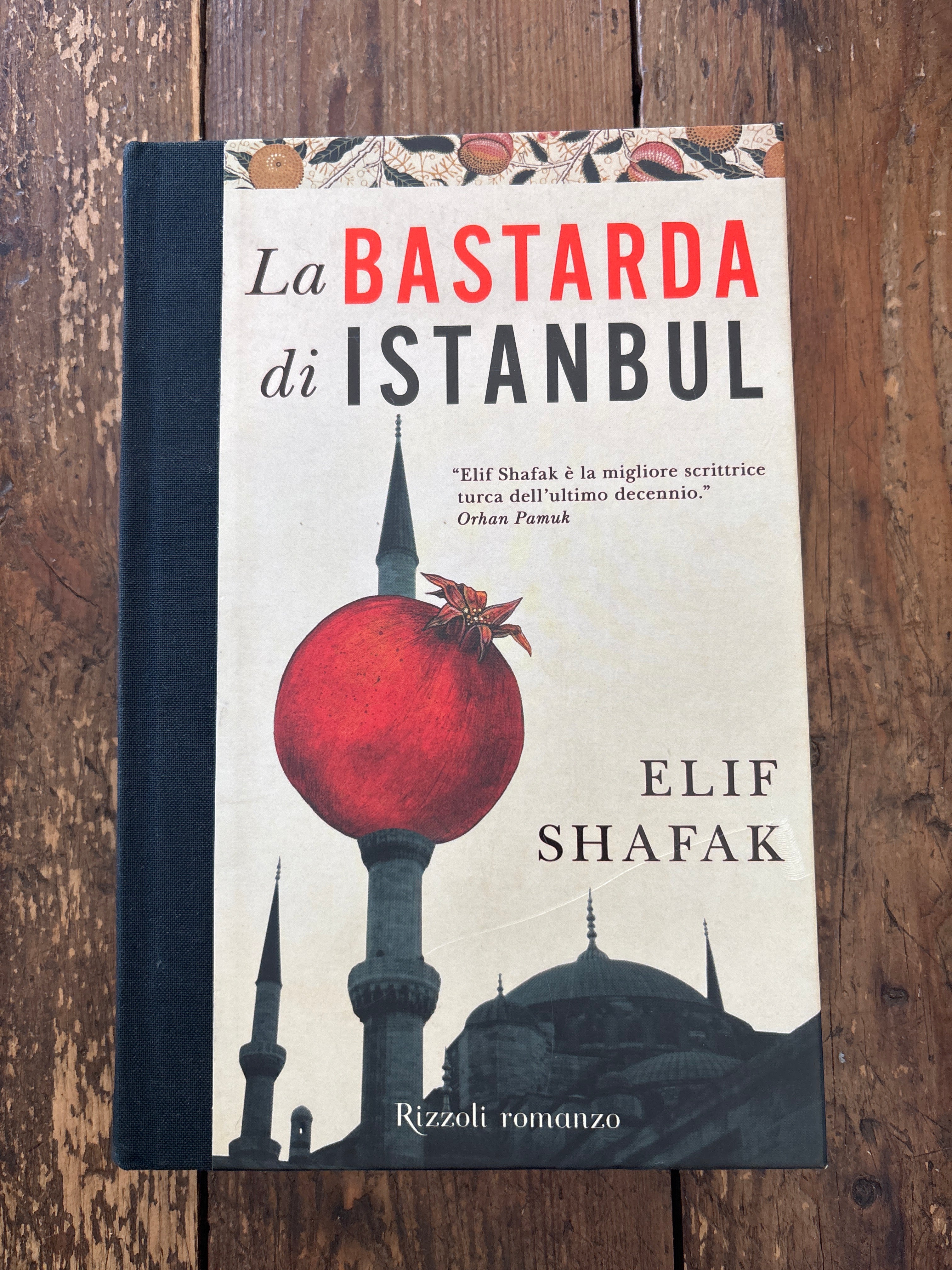 La bastarda di instanbul
