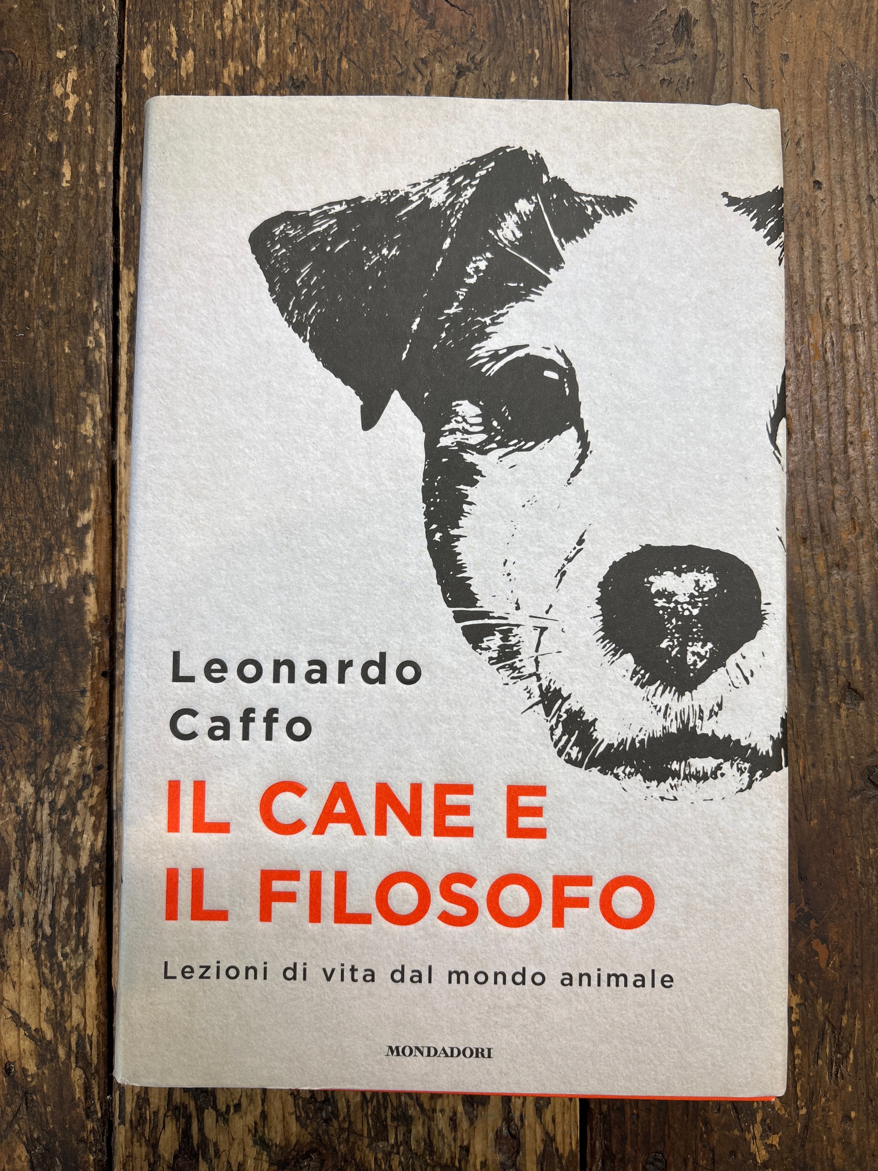 Il Cane e il filosofo