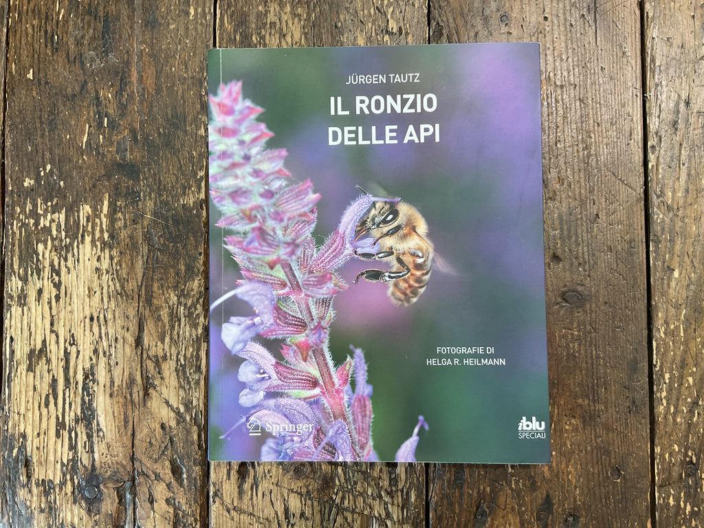 Il Ronzio delle api