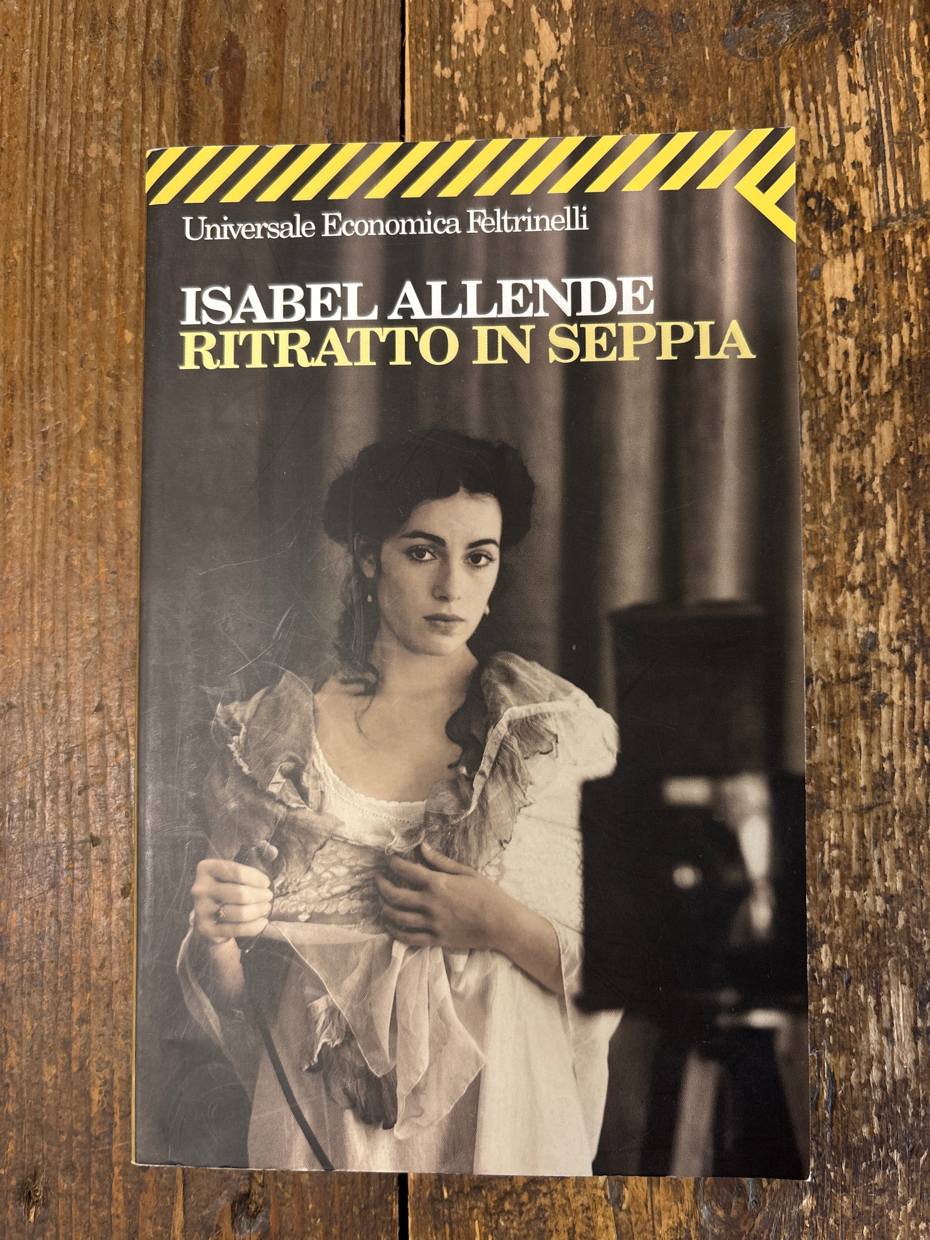 Ritratto in seppia