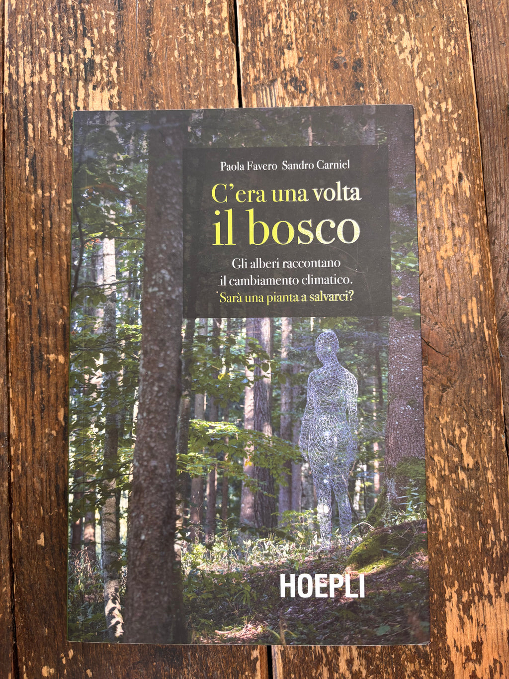 C'era una volta il bosco