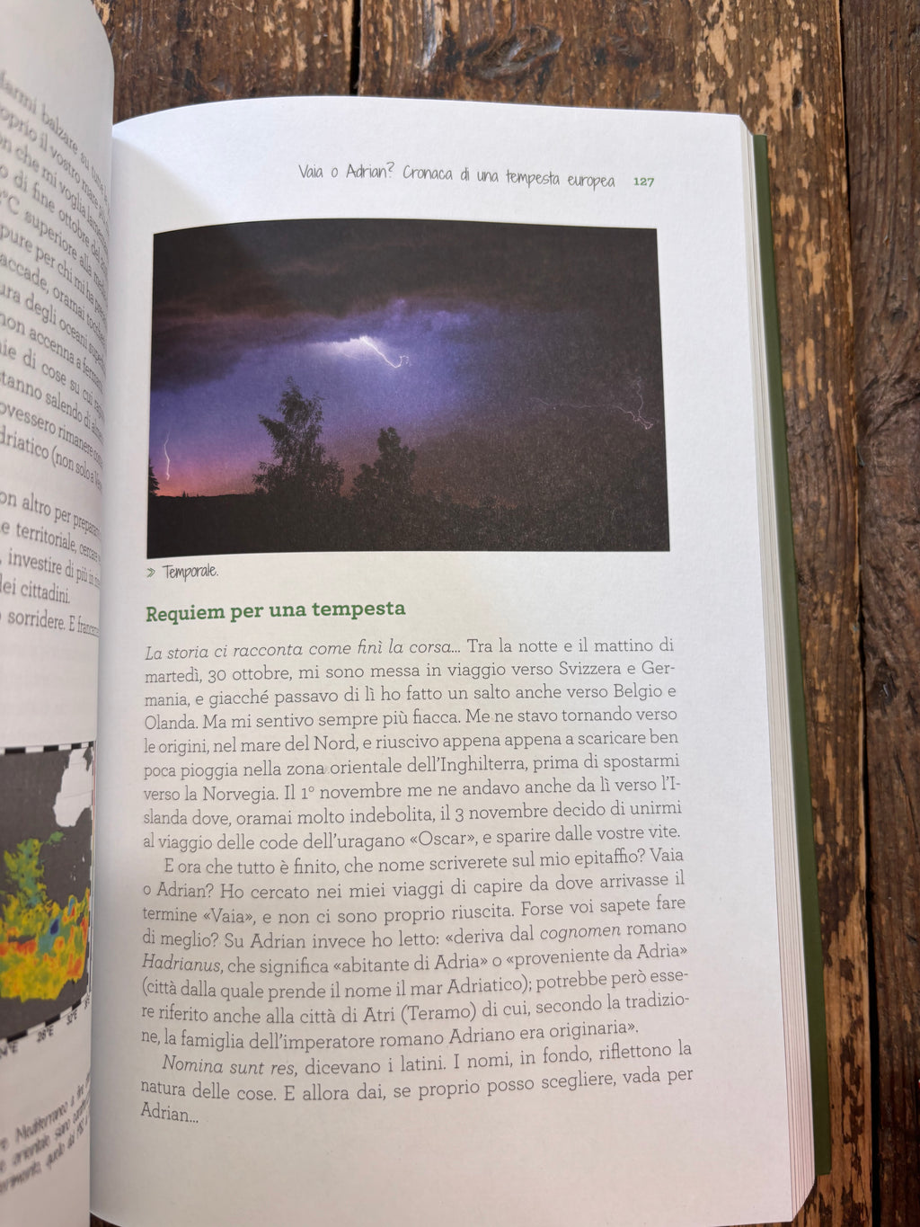 C'era una volta il bosco