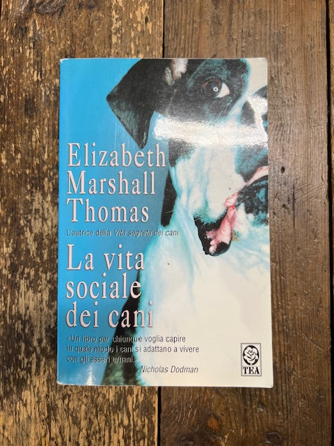 La vita sociale dei cani