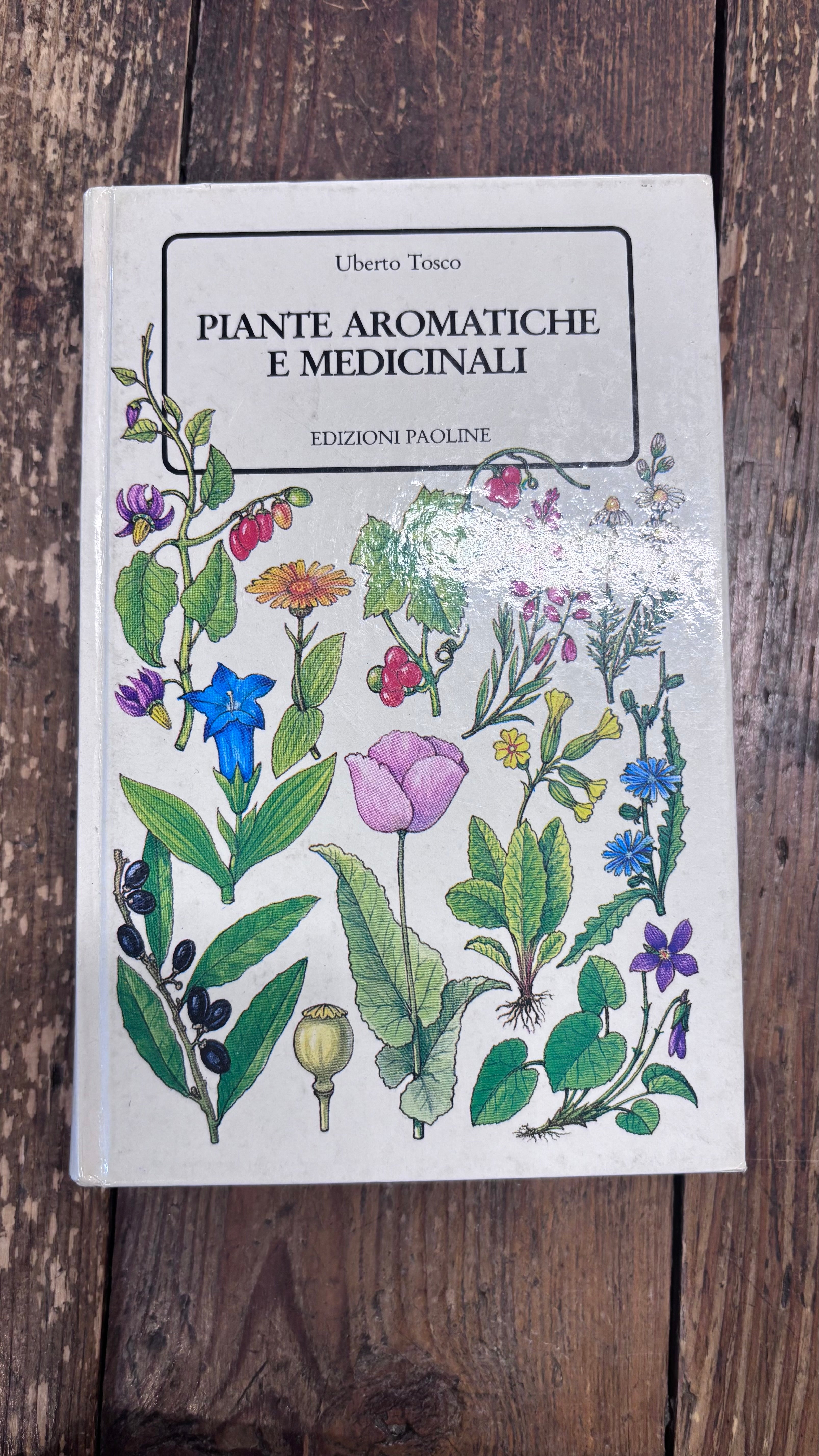 Piante Aromatiche e Medicinali
