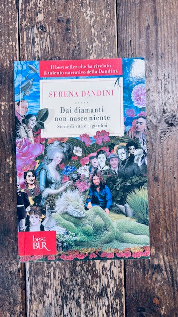 Dai diamanti non nasce niente