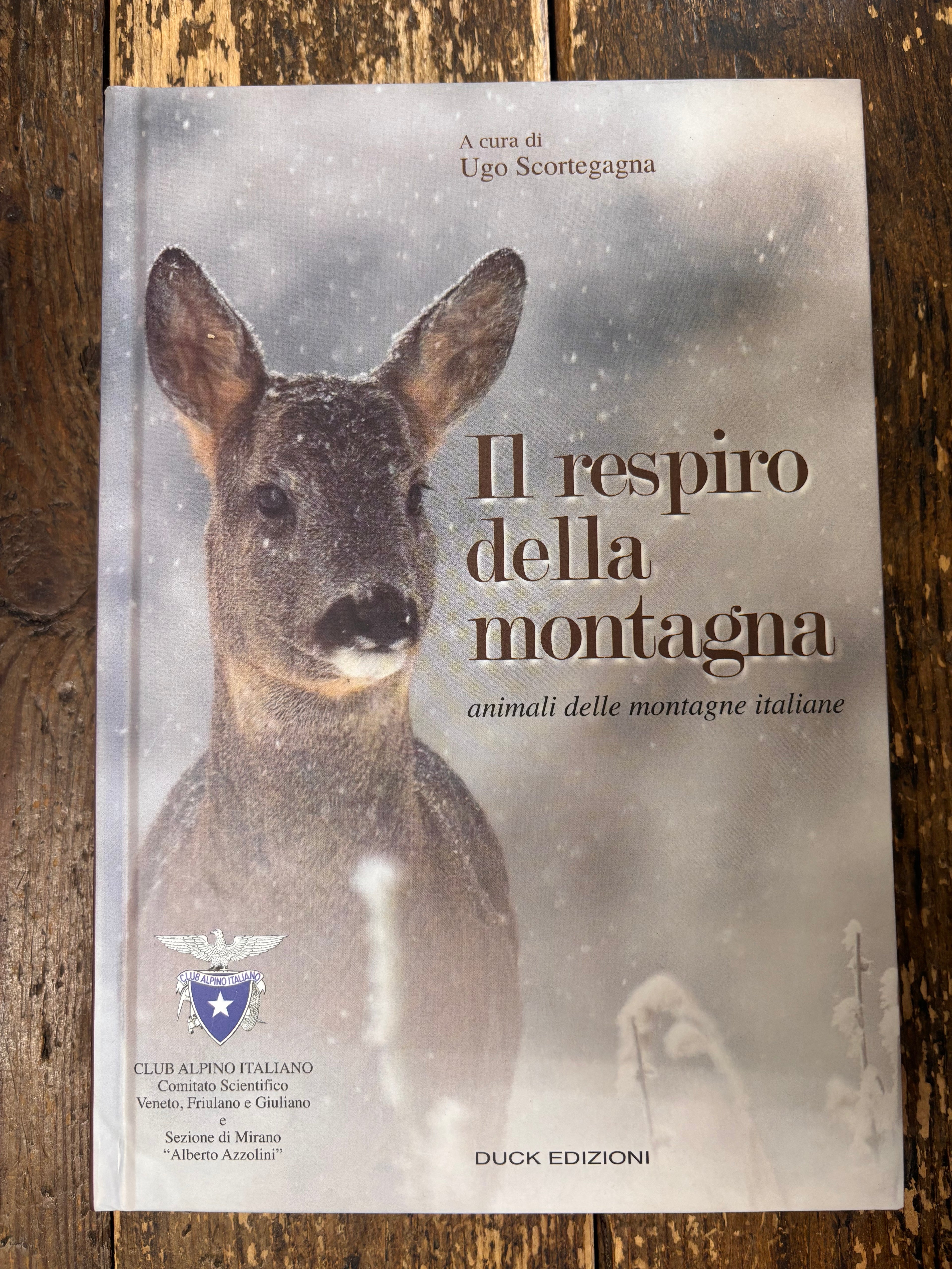 Il Respiro della montagna