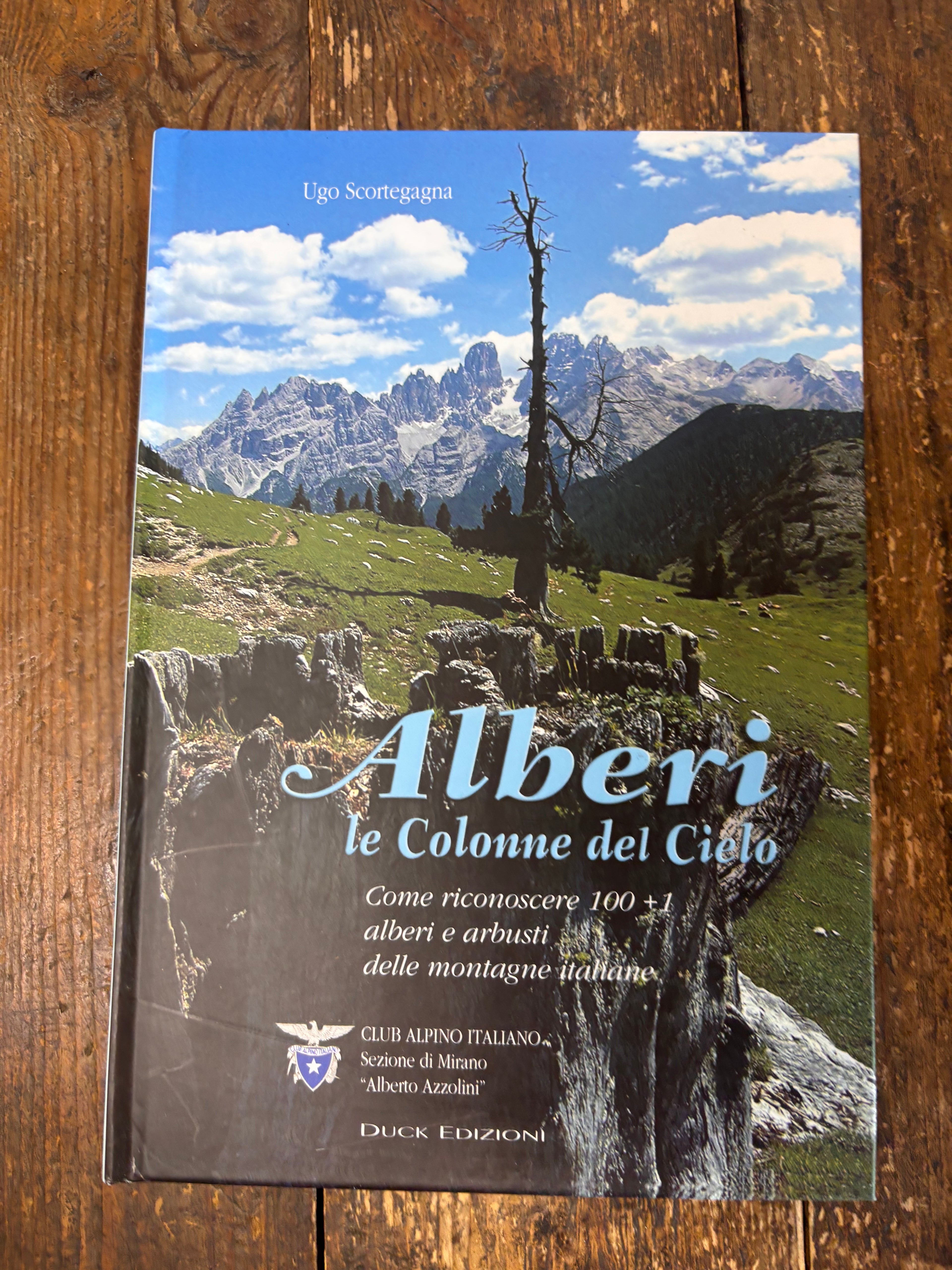 Alberi le colonne del cielo