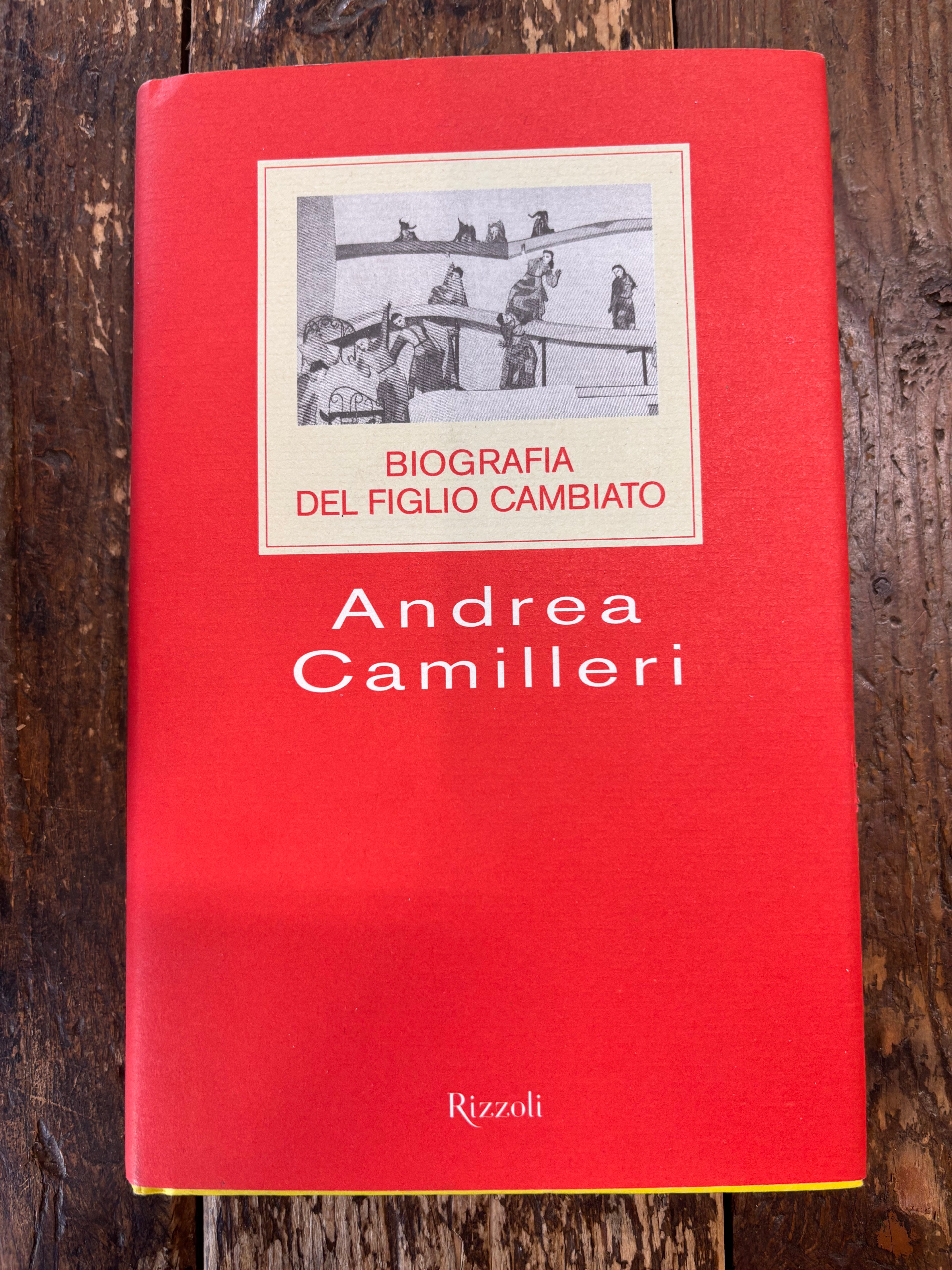Biografia del figlio cambiato