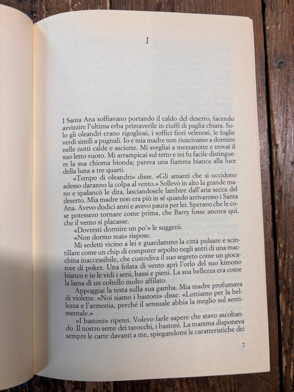Oleandro bianco