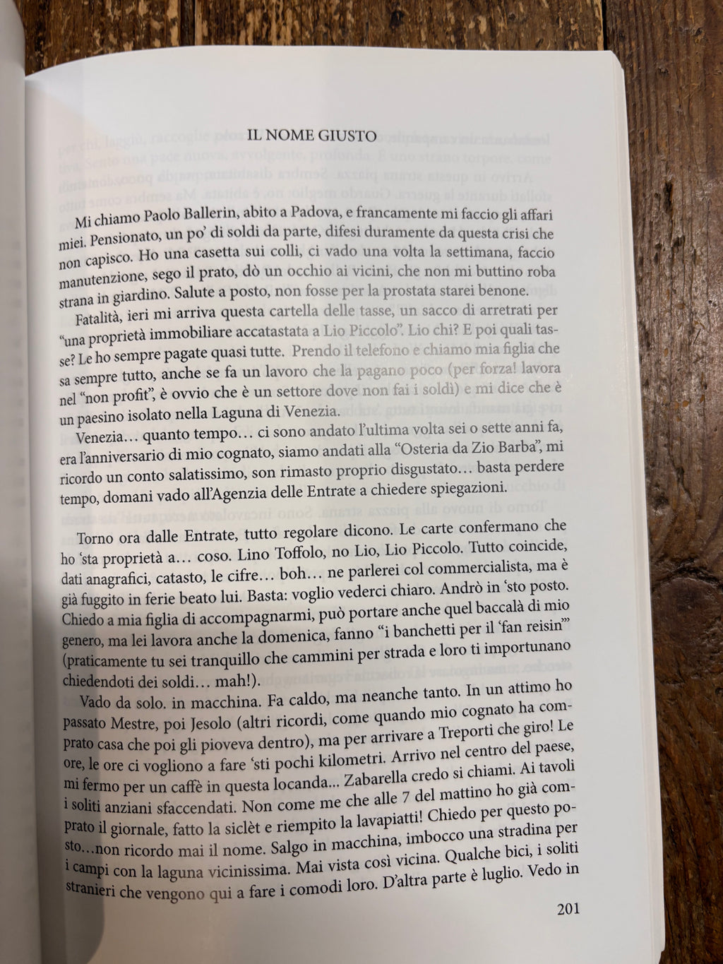 Lio Piccolo e i suoi Misteri