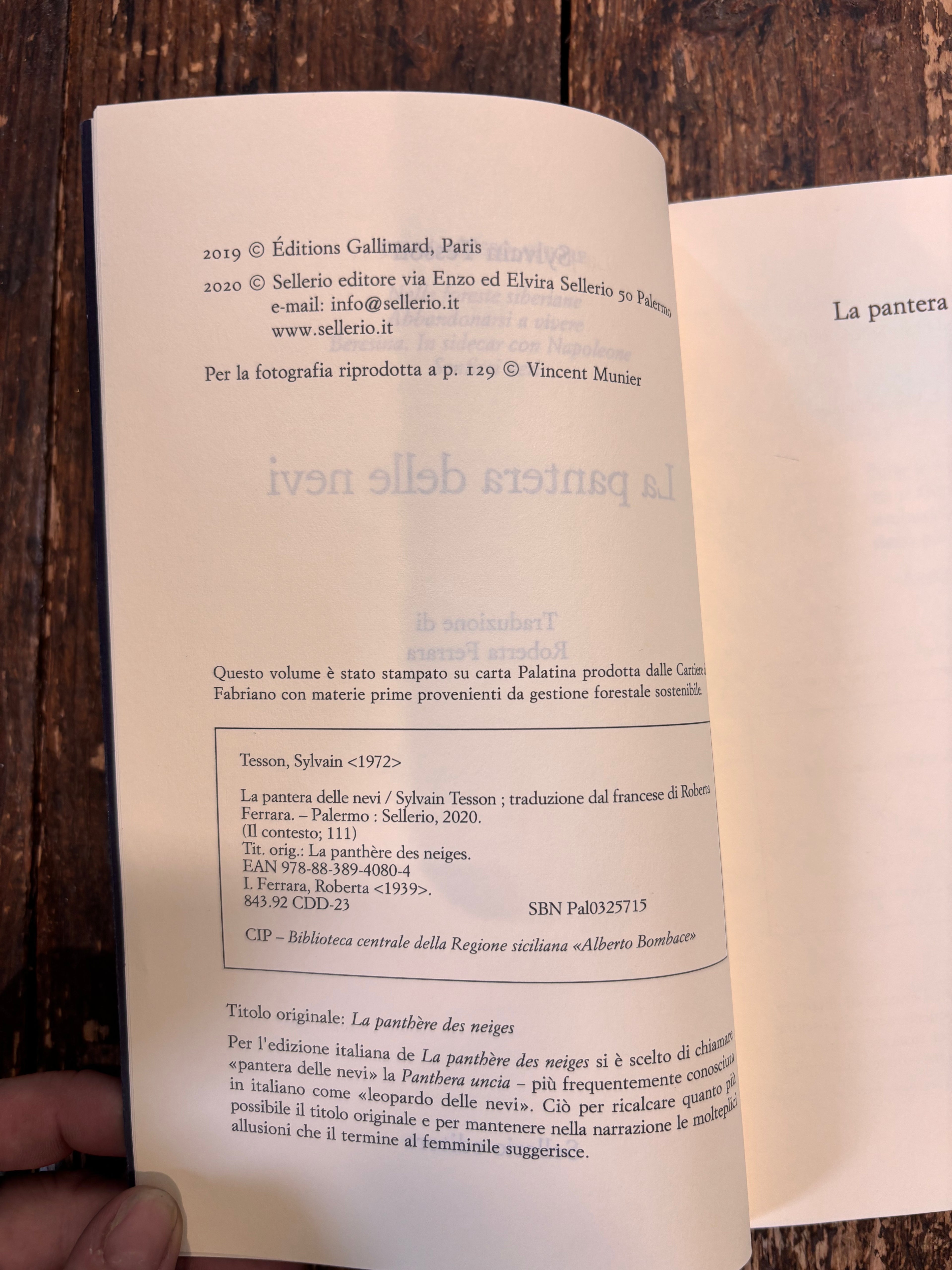 La pantera delle nevi