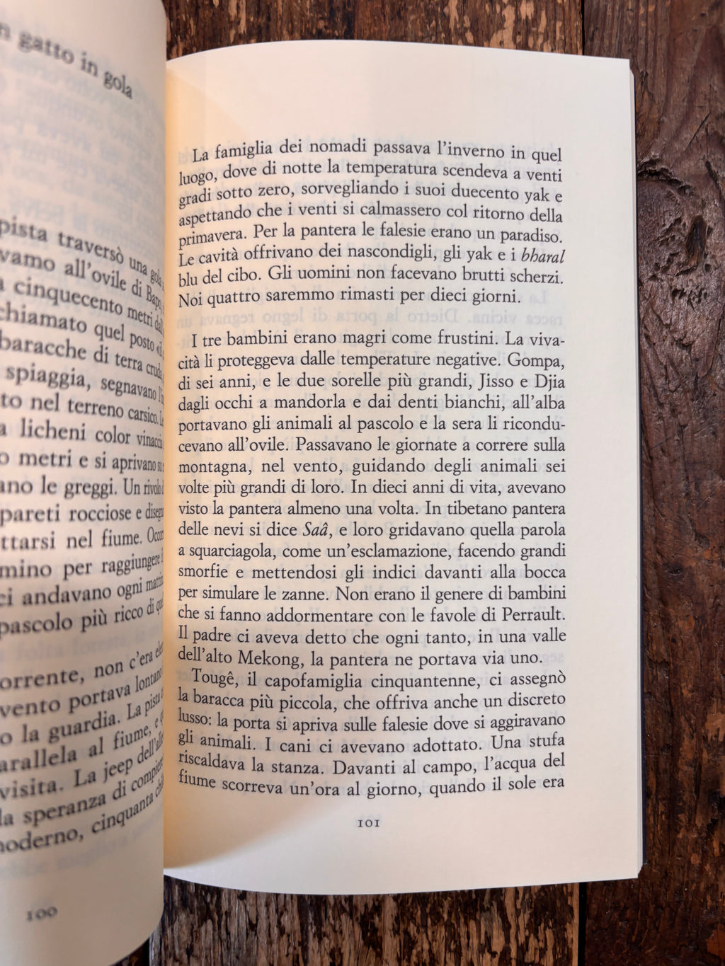 La pantera delle nevi