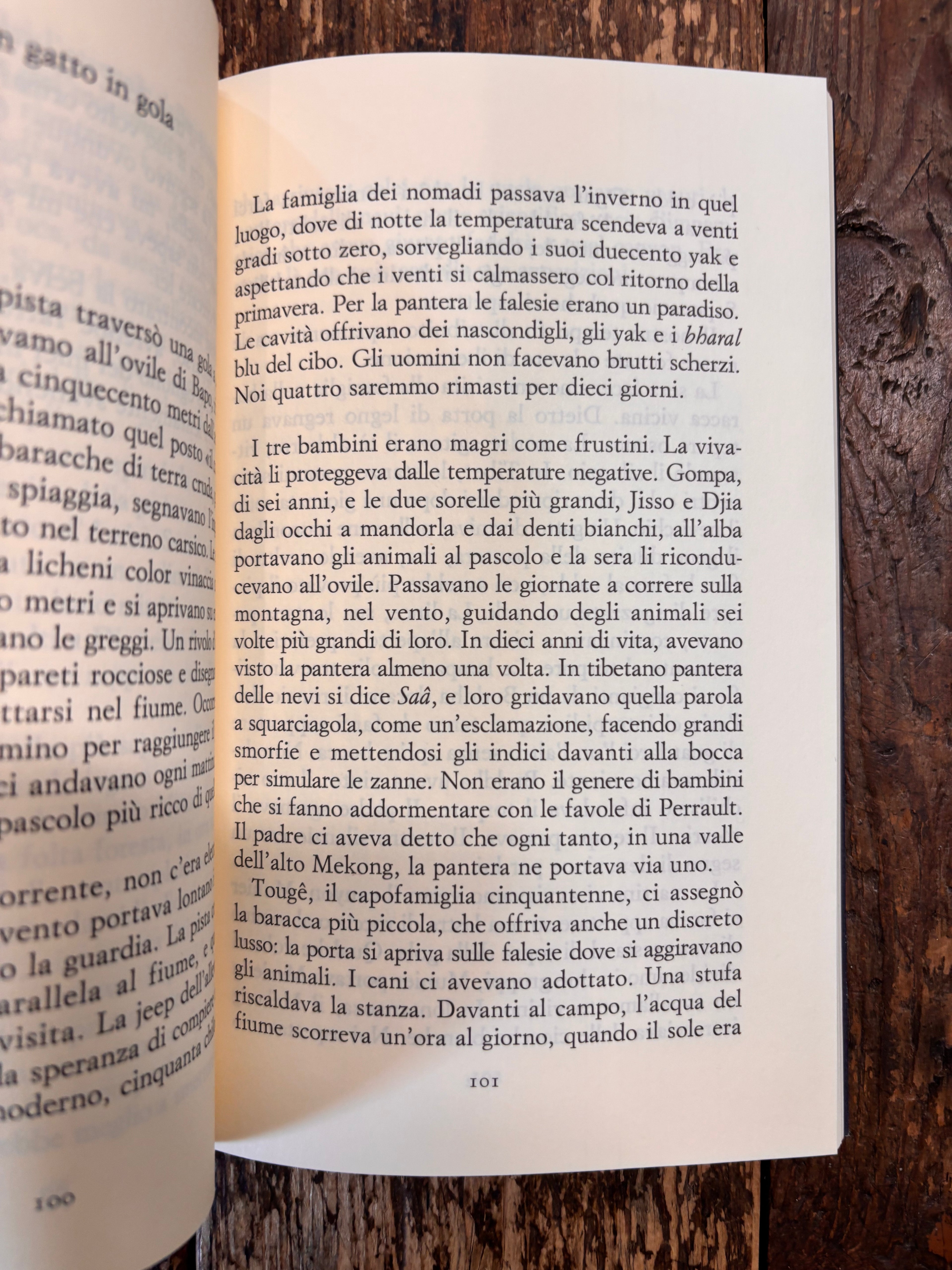 La pantera delle nevi