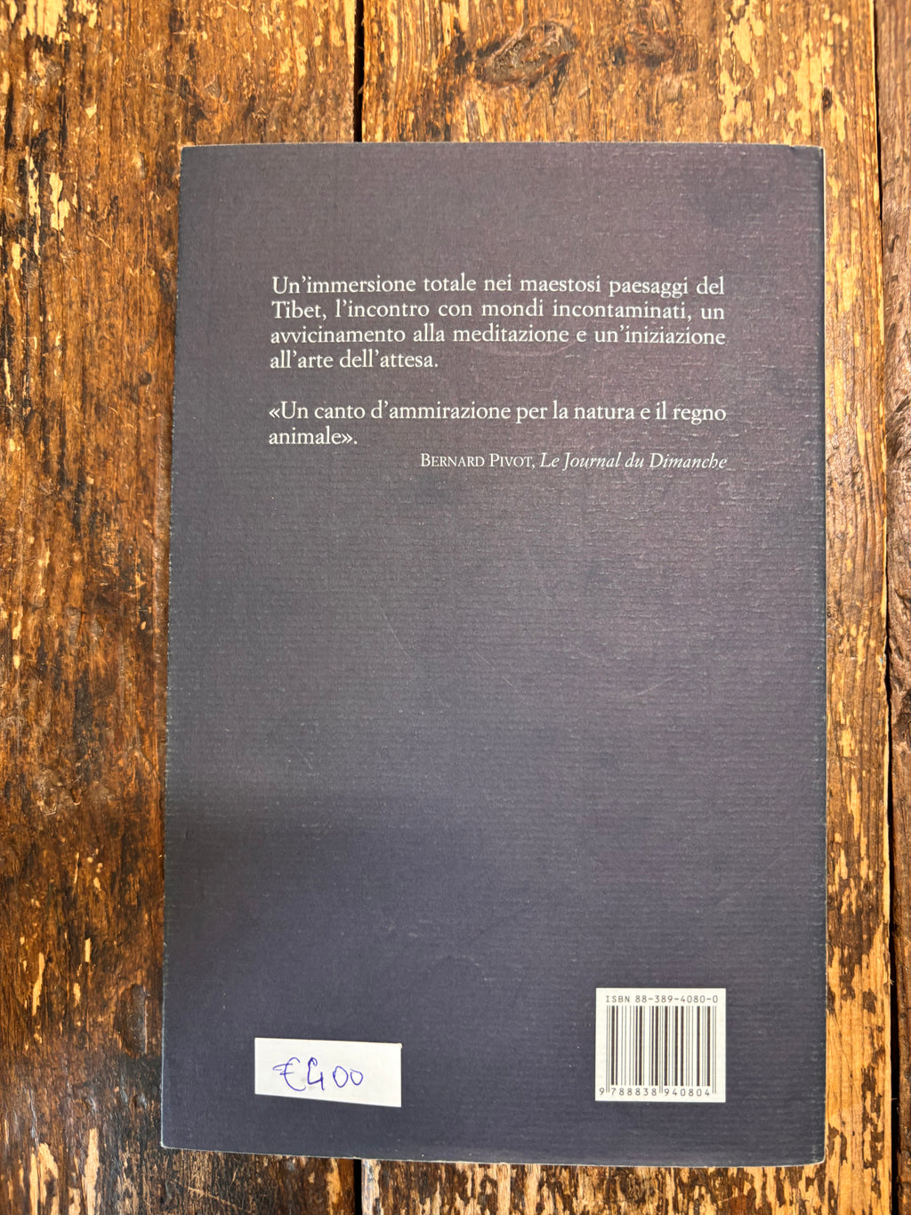 La pantera delle nevi