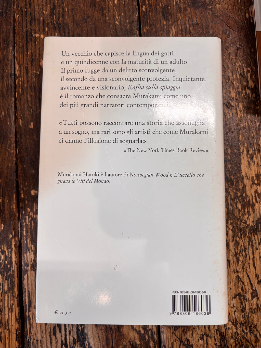 Kafka sulla spiaggia