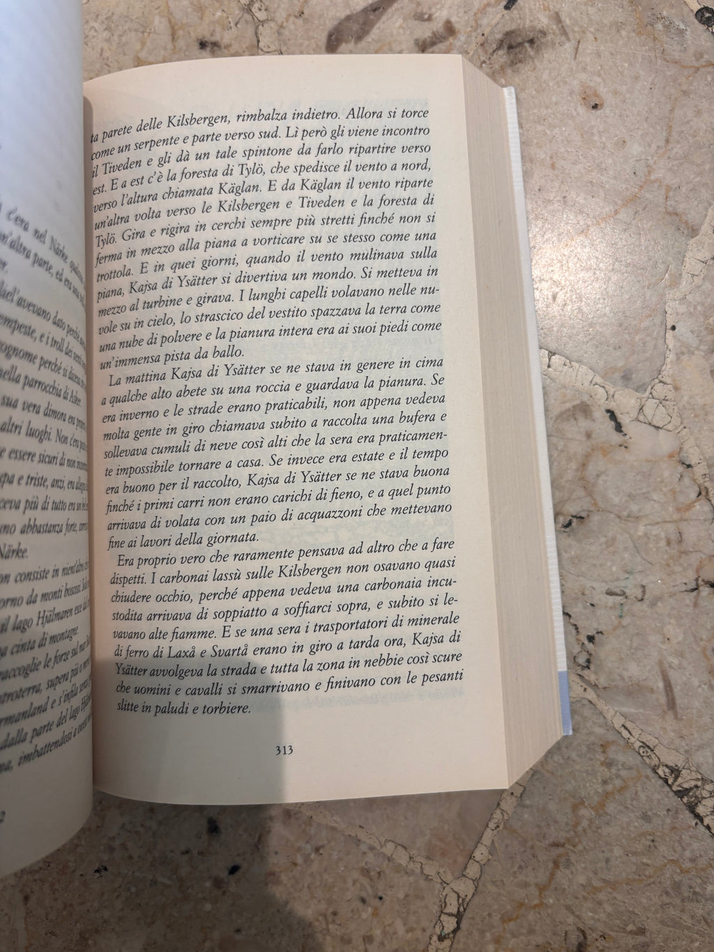 Il Maraviglioso viaggio di Nils Holgersson