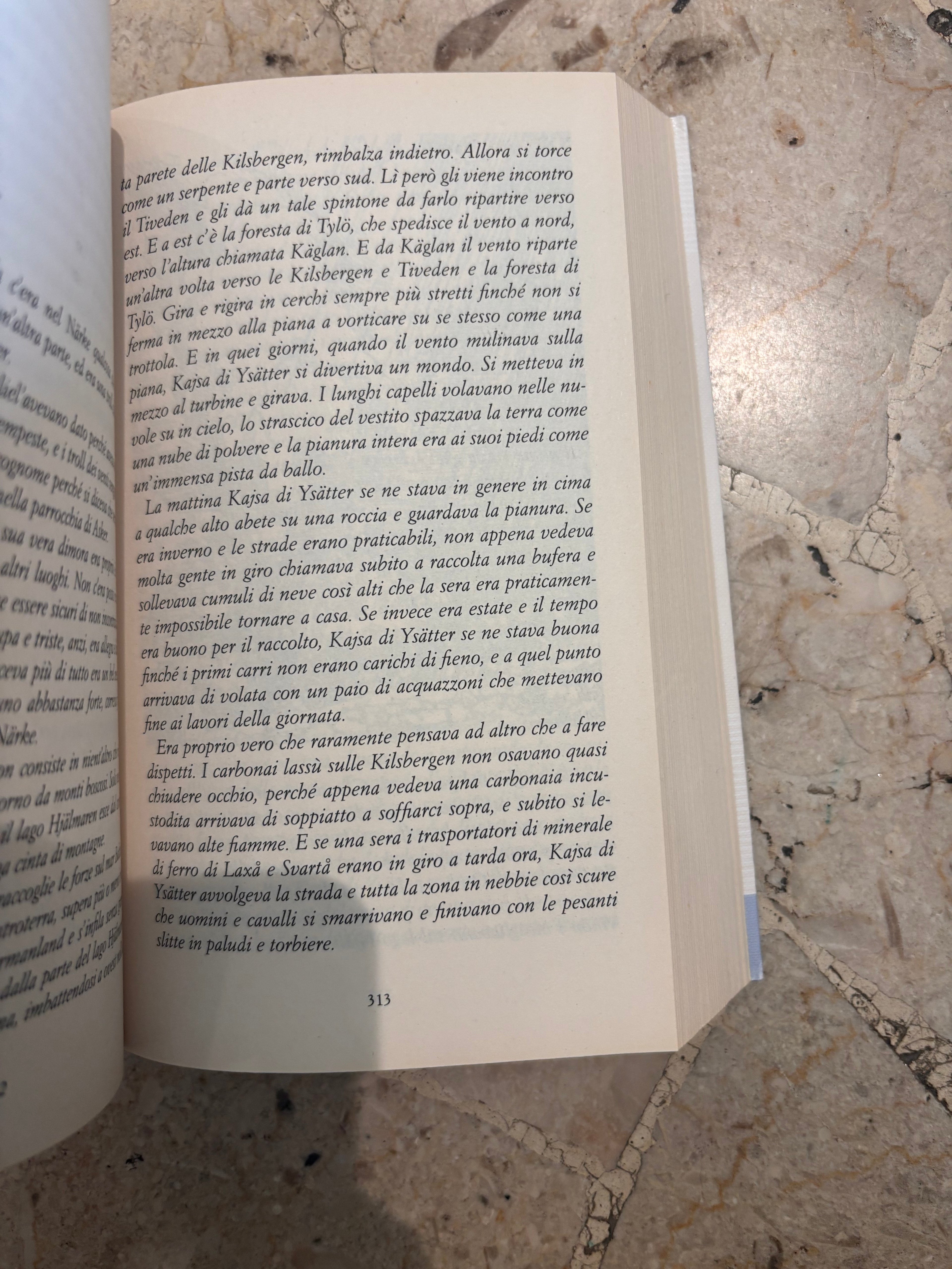 Il Maraviglioso viaggio di Nils Holgersson