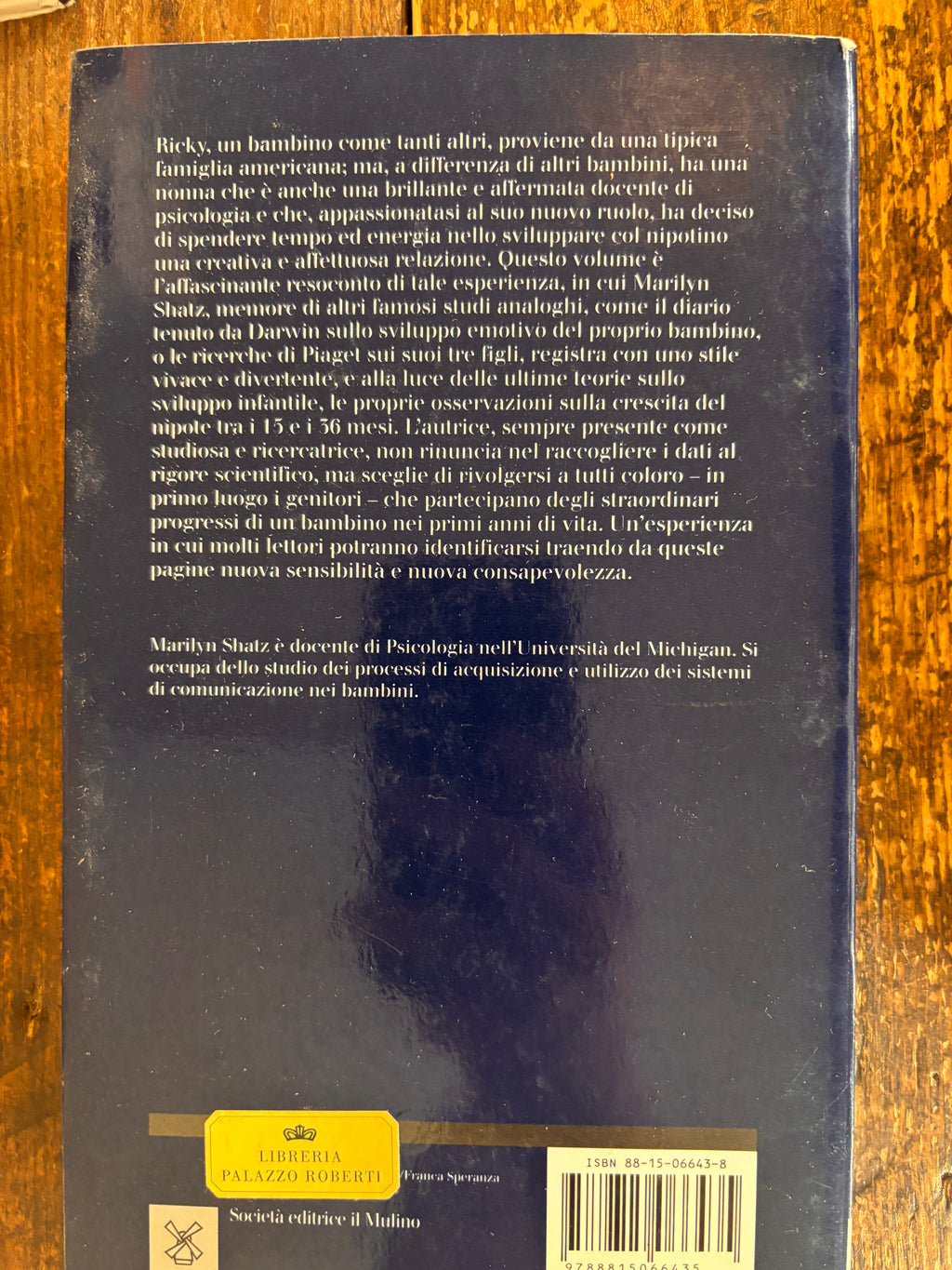 Diario di primi passi