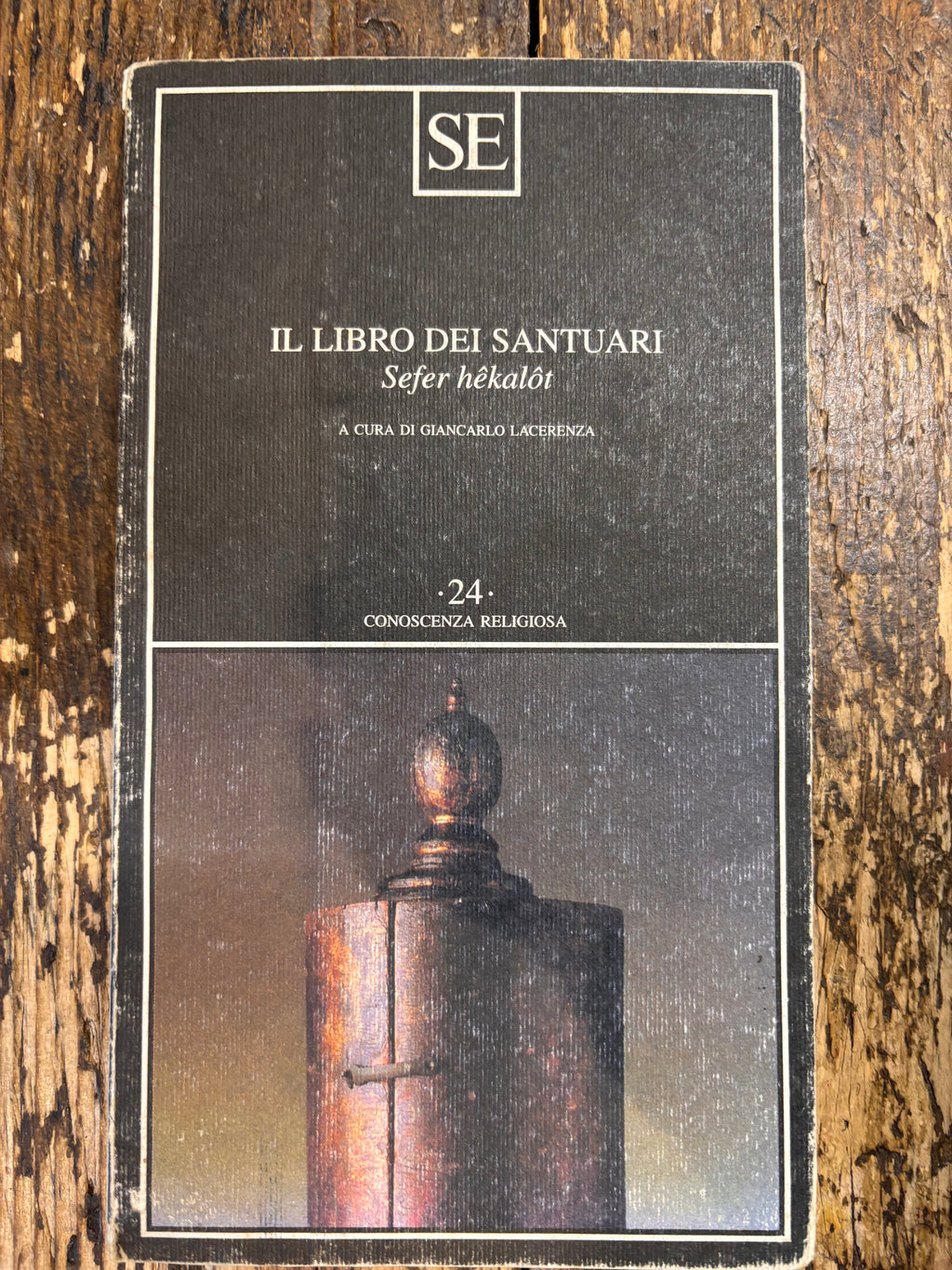Il libro dei santuari