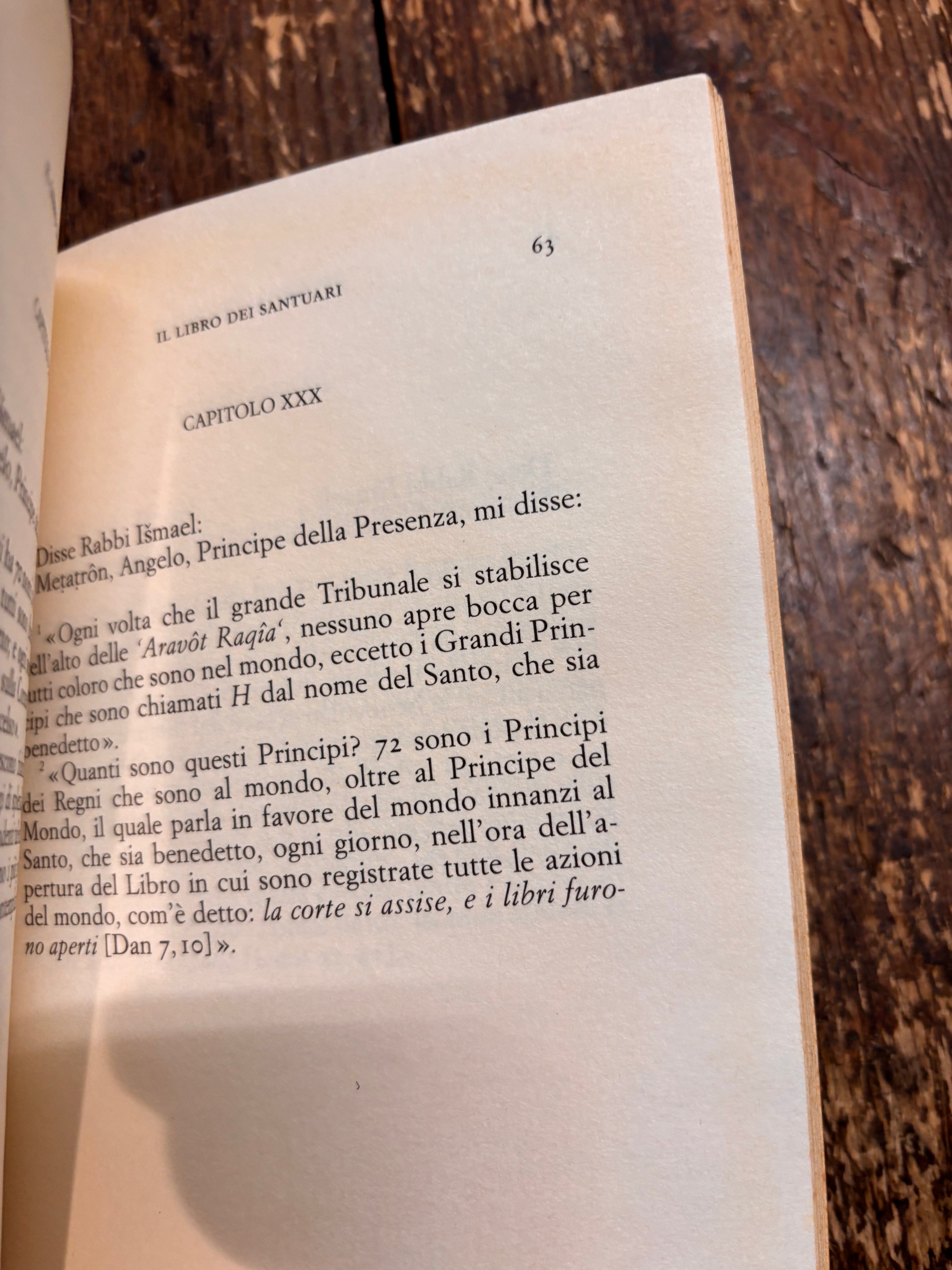 Il libro dei santuari