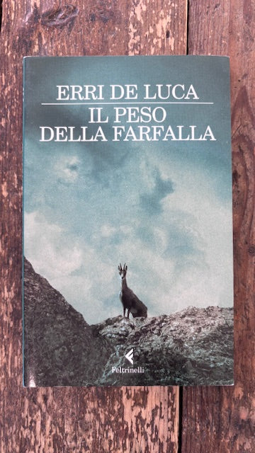 Il peso della farfalla
